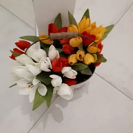 Appartamento Casa Da Bianca *
